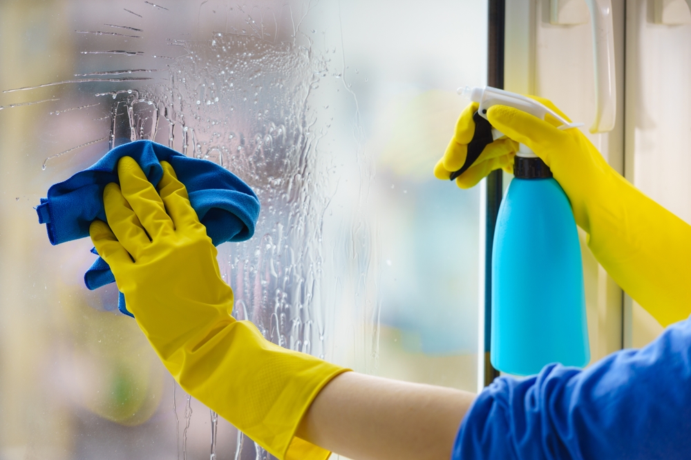 Person Cleaning Their Interior Windows